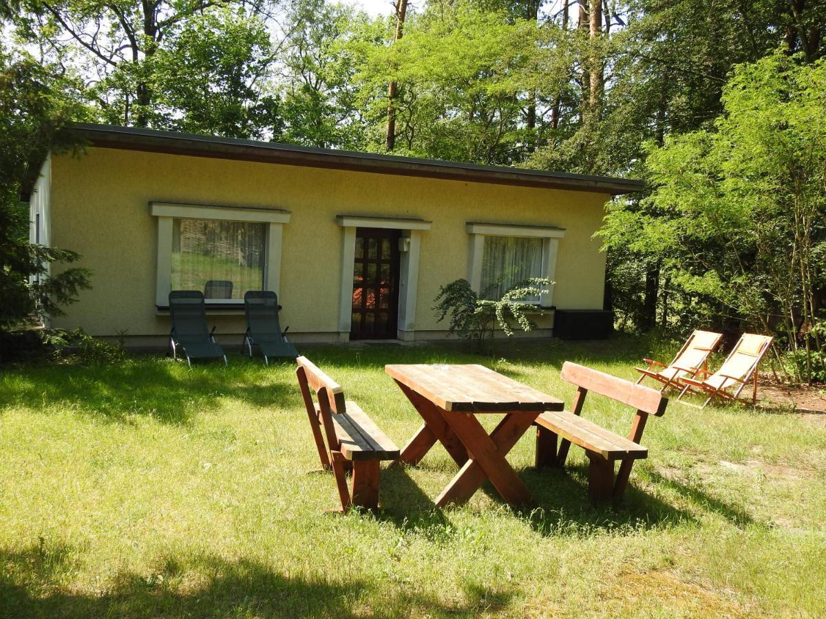 Ferienwohnung Haus Waldfrieden Bad Saarow Exterior foto